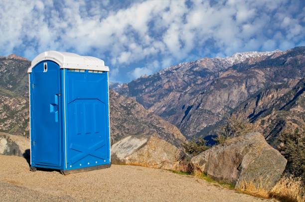 Best Sanitation services for porta potties  in Decorah, IA
